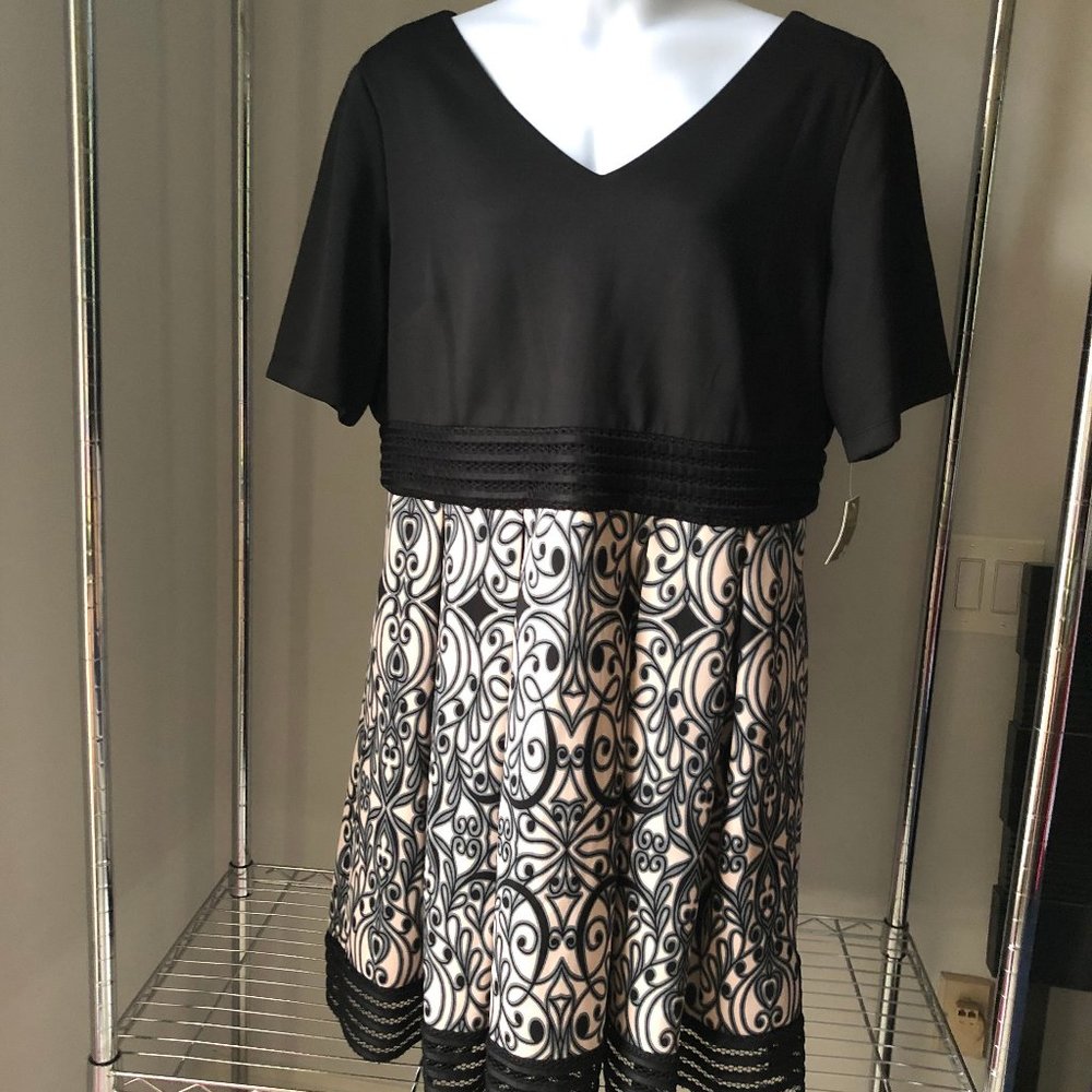 TAYLOR short sleeve semi formal dress 20 NWT